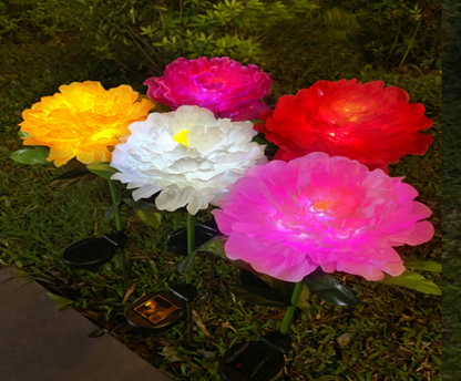 Solar powered single headed peony (Random Colors)