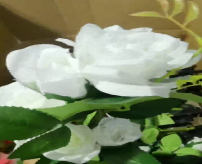 Solar Seven Head White Rose (Random Colors)