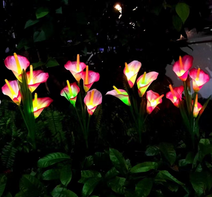 Solar powered four headed calla lily (Random Colors)