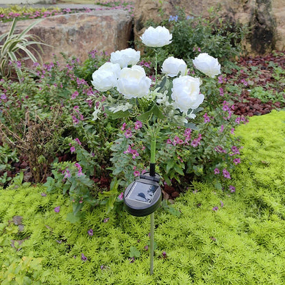 Solar three headed rose (Random Colors)