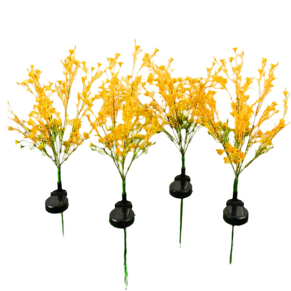 Solar rapeseed lantern (Random Colors)