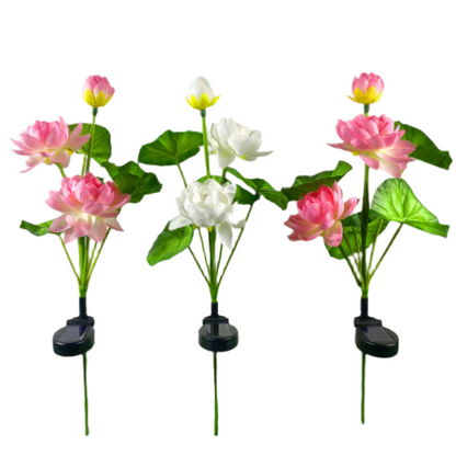 Solar Seven Head White Rose (Random Colors)